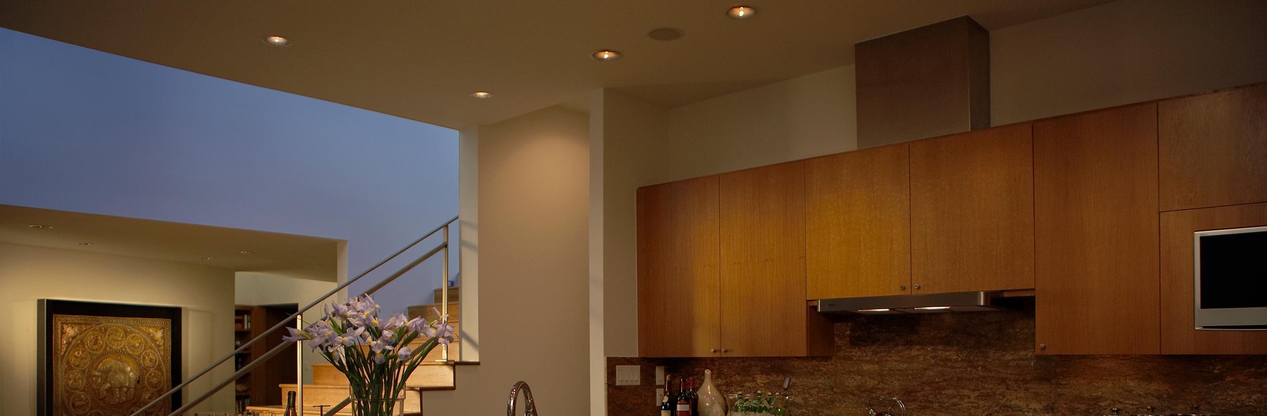 Lutron Retrofit LED fixtures