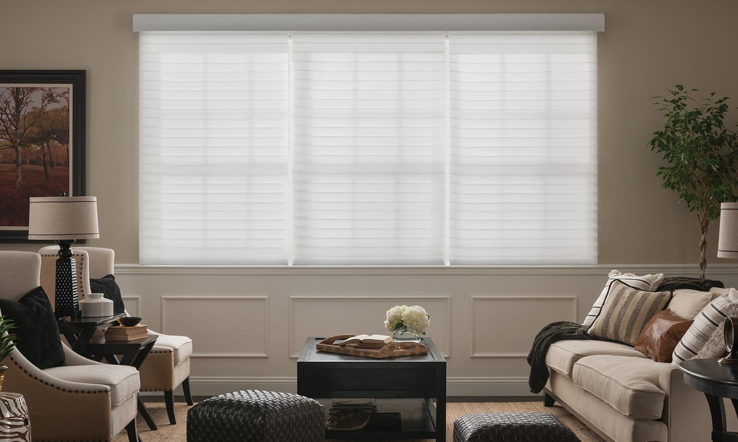 Lutron roman shades